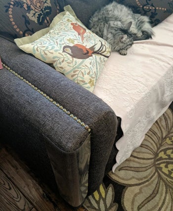 Reviewer photo of the clear protector wrapped around the leg of a couch