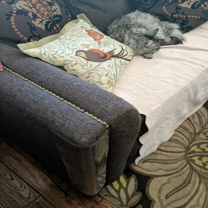 Reviewer photo of the clear protector blending into a couch leg
