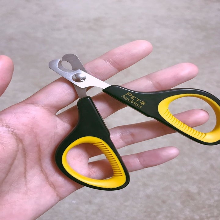 Reviewer photo of the clippers