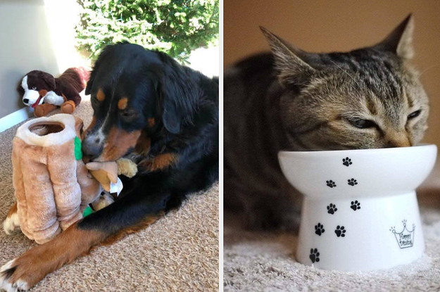 46 Things For Anyone Who S Obsessed With Their Pet