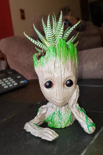 the groot planter with a succulent inside 