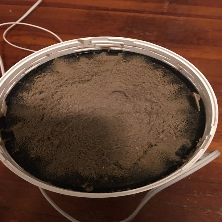 A reviewer showing a lot of dust collected inside the air purifier