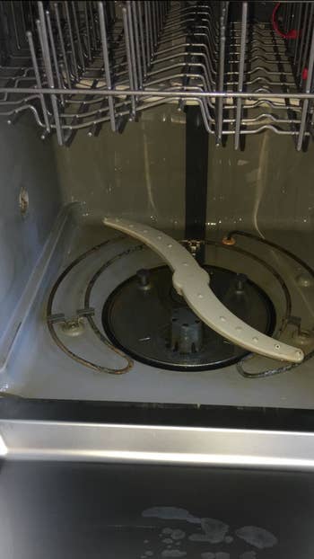 A reviewer's clean dishwasher after using the product