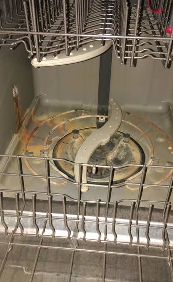 reviewer's dirty dishwasher with brown stains on the bottom