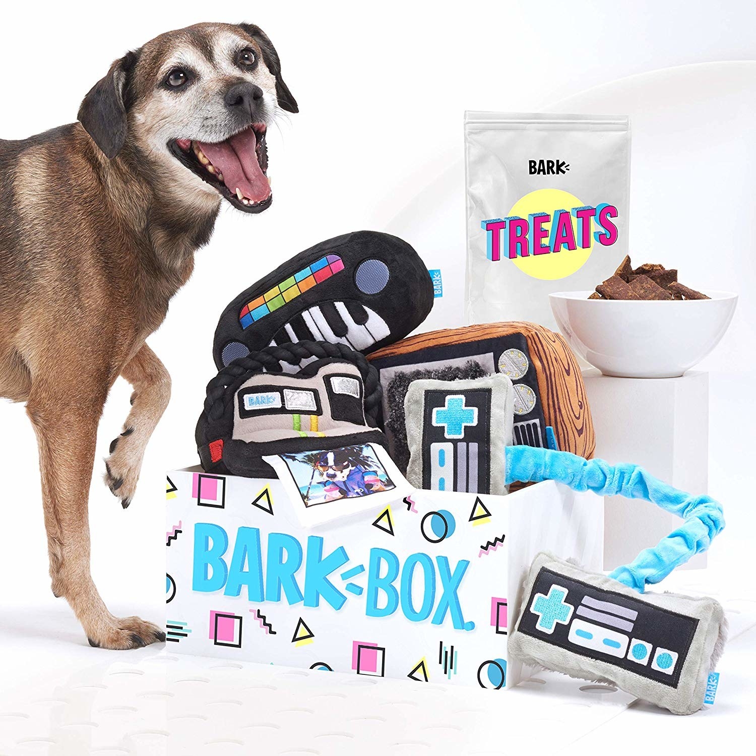 a dog standing next to a bark box filled with 90s-inspired toys