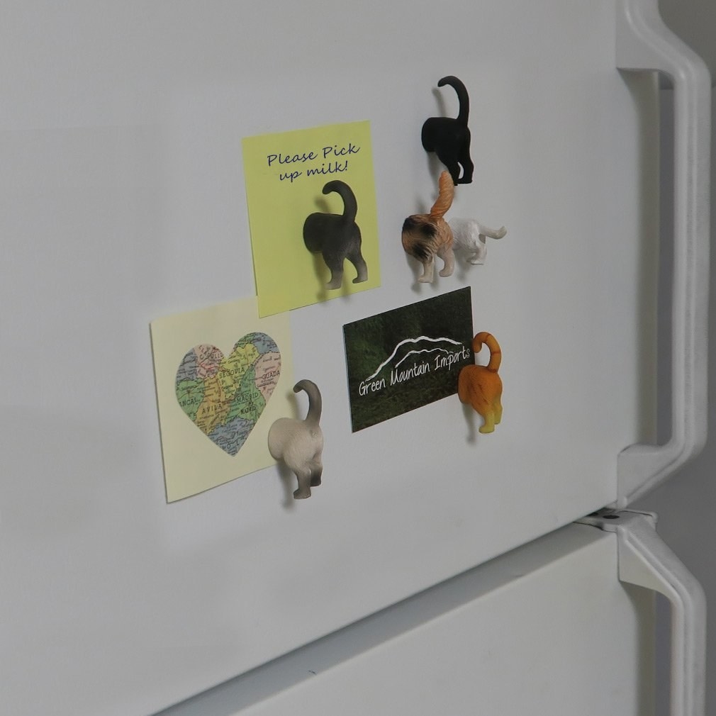 Six cat butt magnets placed on a white refrigerator 