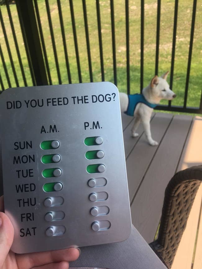 The sign, which has little levers you push to green in the a.m. and p.m. when you feed the dog