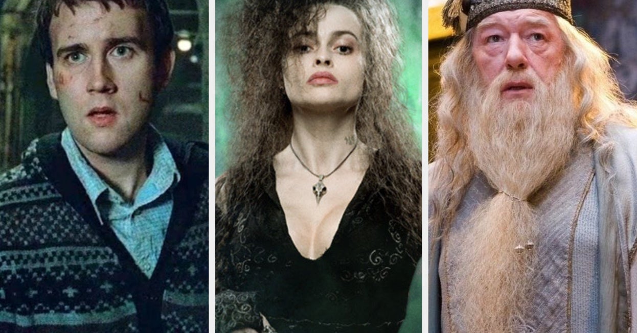 Quiz Which "Harry Potter" Group Do You Belong In — The Order Of The