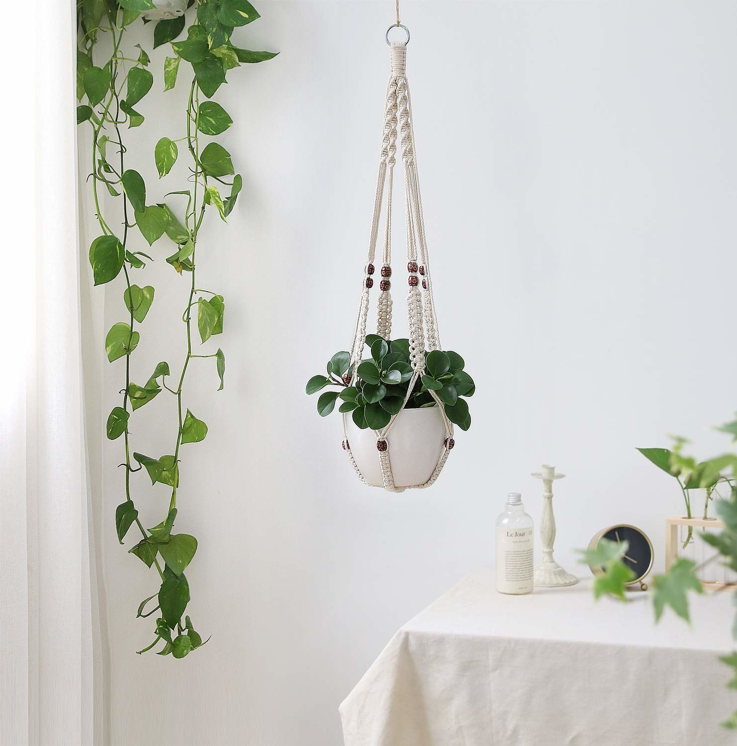 A plant hanging from the cream macrame strings with brown beads