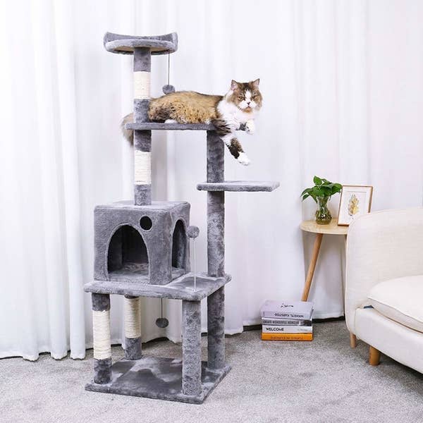 31 Gifts For Pets On Amazon Canada