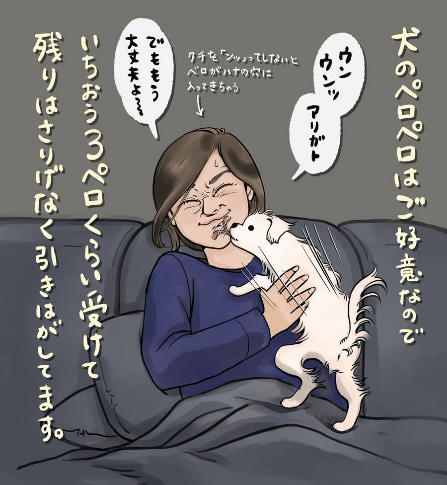 おさんぽ行く と聞かれたワンコの 慎重すぎる対応 がおもしろい