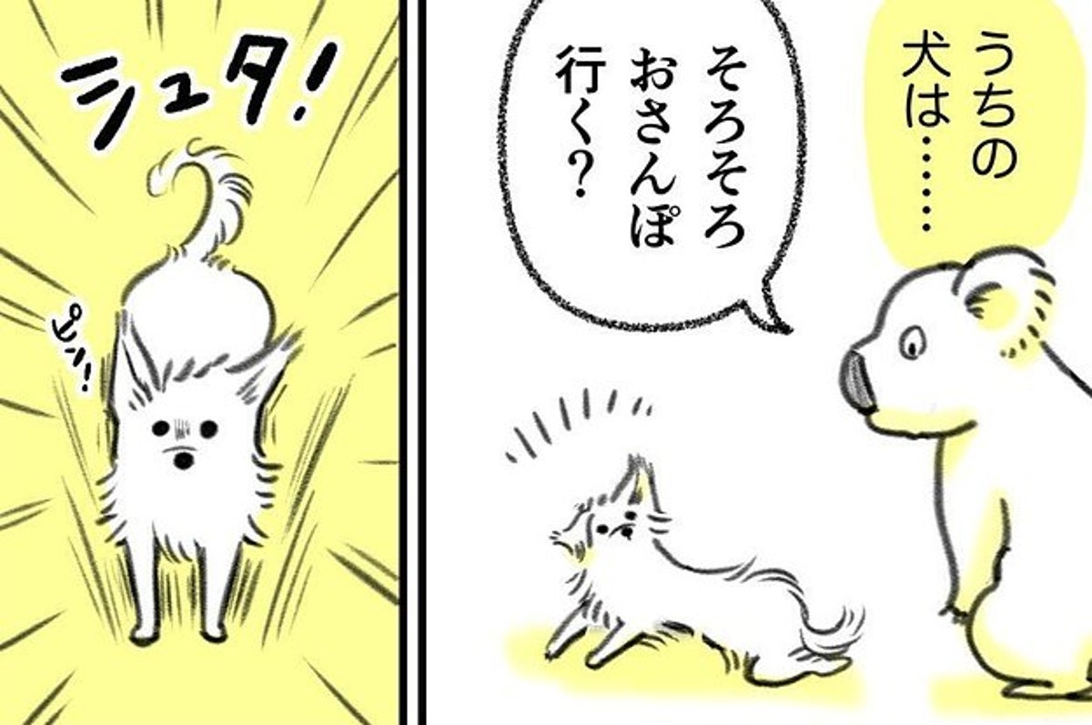 おさんぽ行く と聞かれたワンコの 慎重すぎる対応 がおもしろい