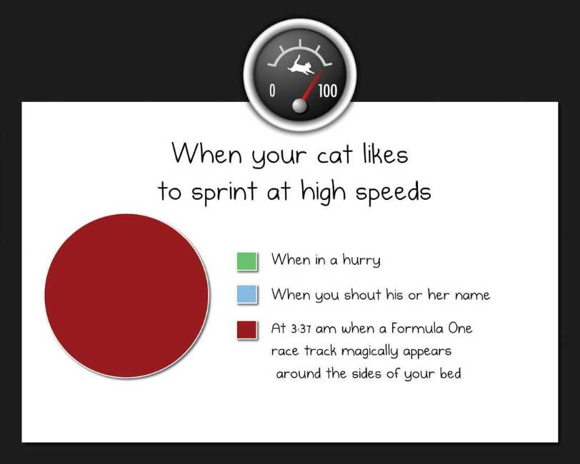 Gifts For Cat Lovers Amazon Canada