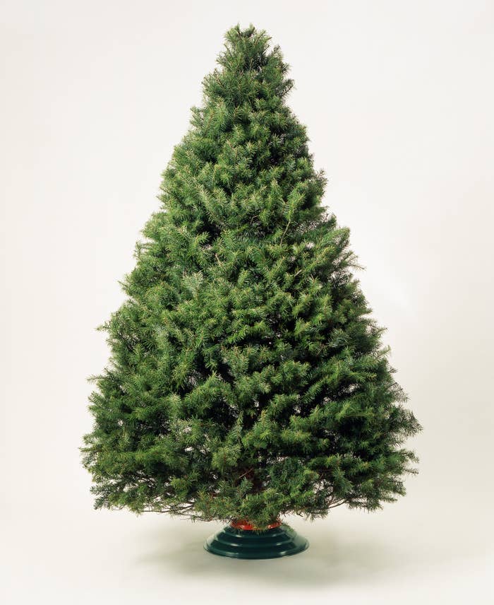Decorate Your Christmas Tree And We Ll Tell You If You Re Naughty