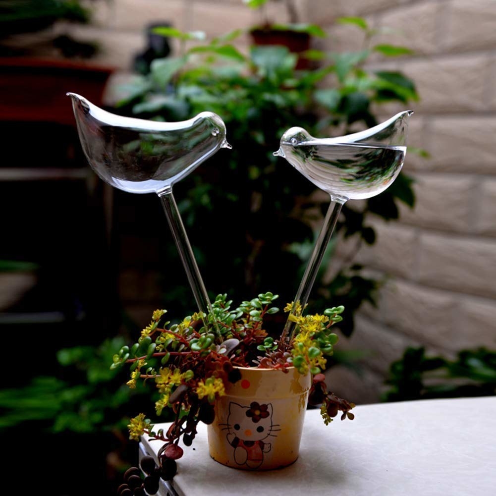potted plant with two bird shaped watering stakes in the pot