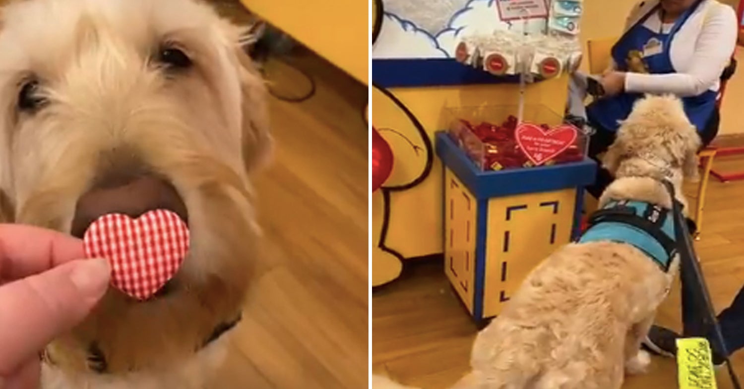 14 Really Good Things That Happened This Week