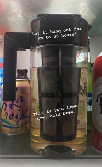 BuzzFeed writer Maitland's takeya cold brew maker with text that reads 