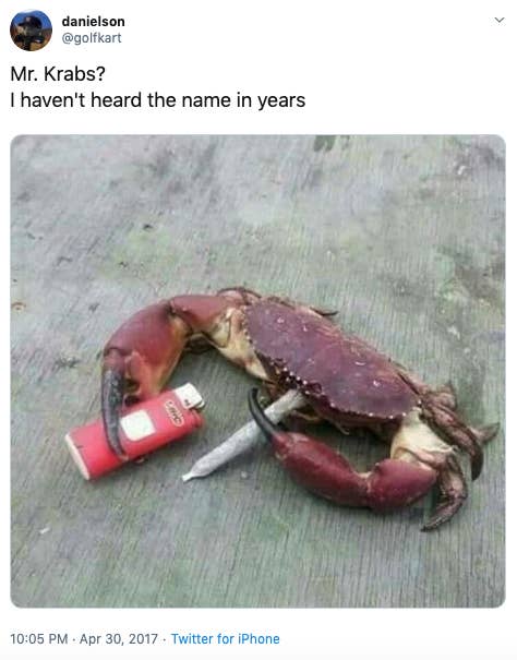 100 Best Memes Of The Decade