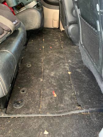 reviewer's pic of van floorboard with tons of dog fur