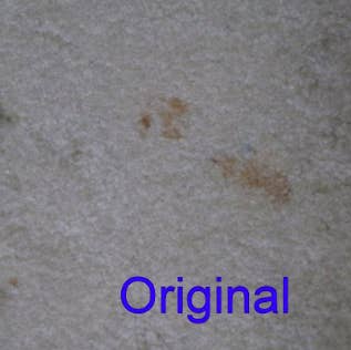 reviewer pic of brown pet stain on beige carpet