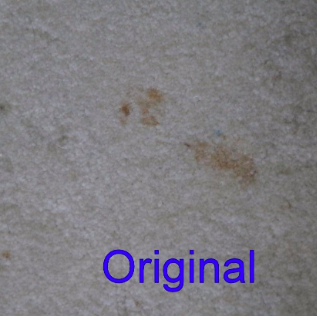 reviewer pic of brown pet stain on beige carpet