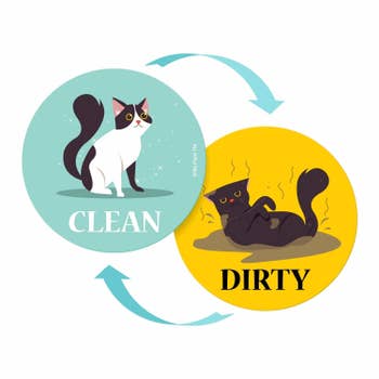 circular magnet that has a clean cat on one side and a dirty cat on the other