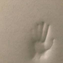 photo of the handprint left behind to show how plush the topper is