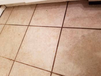 tile floor with dirty grout