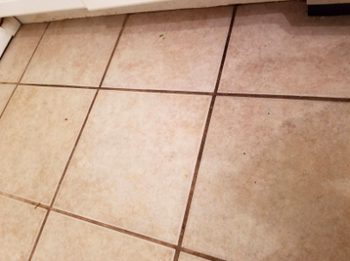 tile floor with dark brown grout