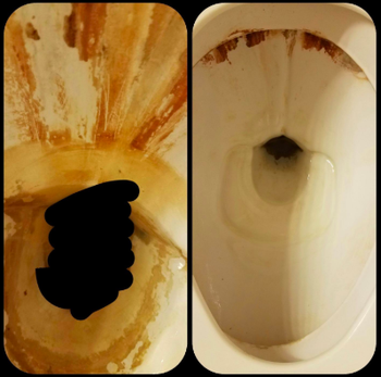 disgusting stained toilet and then the clean toilet