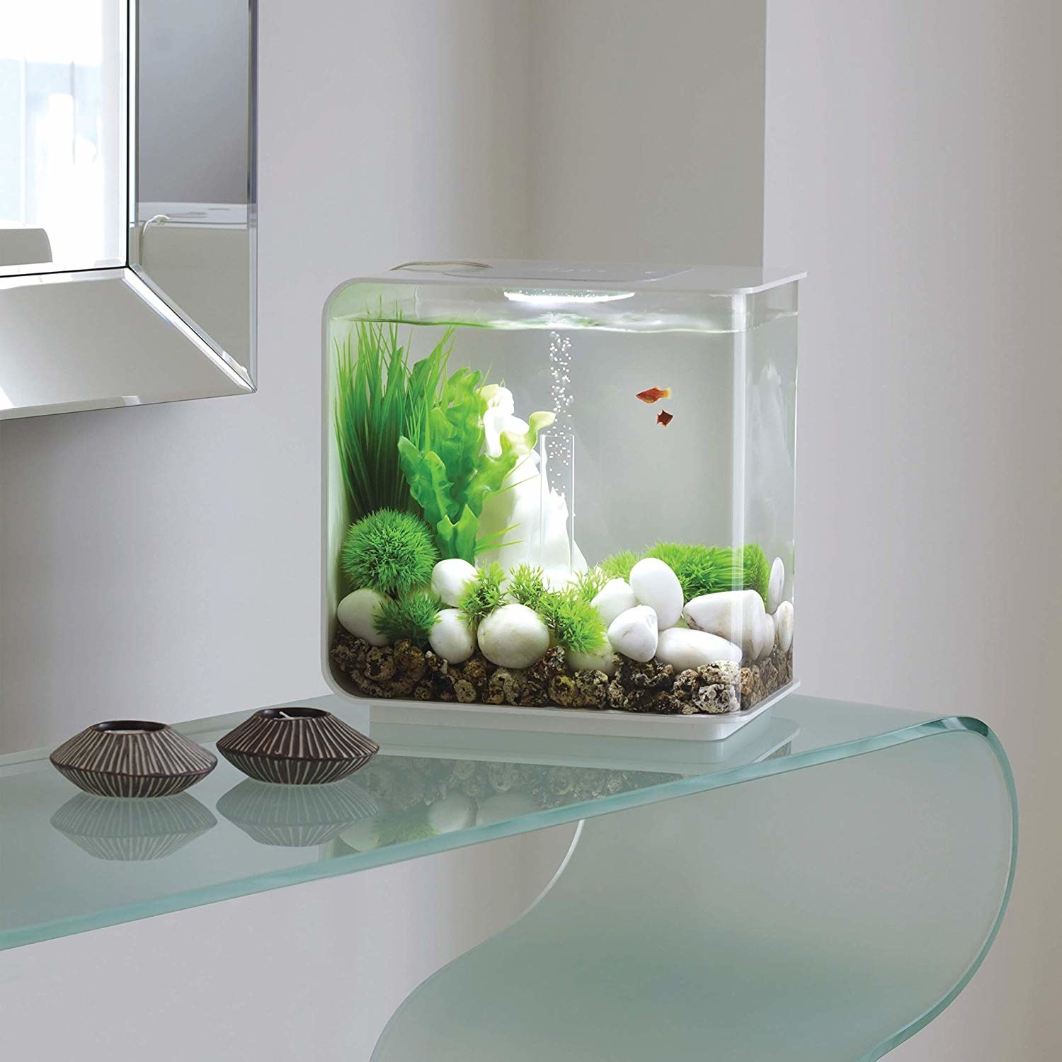 Acrylic tank houses pet fish