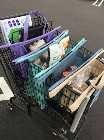 Reviewer's bags filled with groceries in cart 
