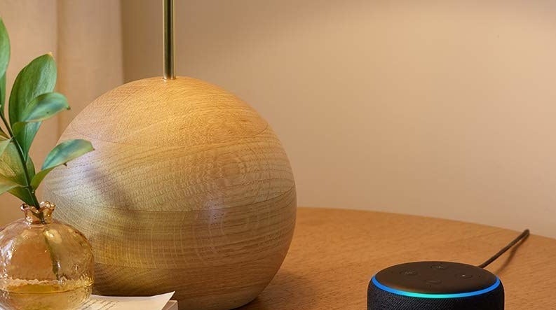 the black palm-zied Echo Dot 