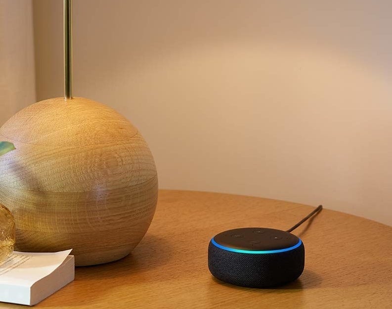 the echo dot