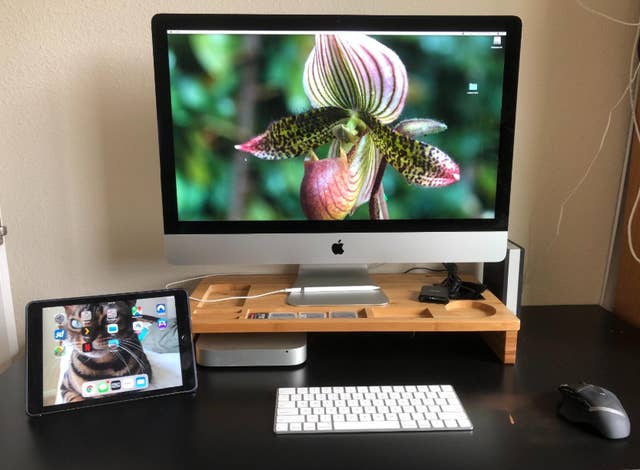 31 Things That Ll Make You Actually Want To Be At Your Desk In 2020