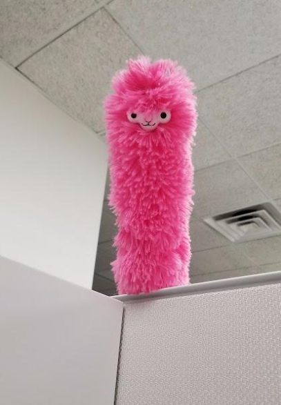 the lama duster propped up in a reviewer&#x27;s work cubicle