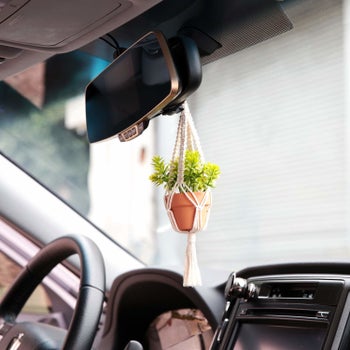 Plant hung on rear view mirror 