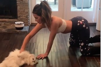 Kate Beckinsale plays role of human bed as her cat lays back on