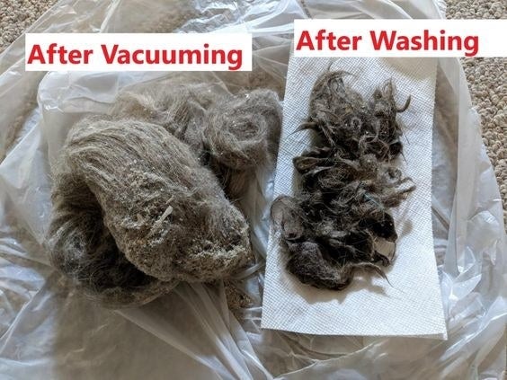 Reviewer&#x27;s picture of a large clump of dirt, hair, and grime with the caption &quot;after vacuuming&quot;, and a smaller clump of hair and dirt with the caption &quot;after washing&quot;