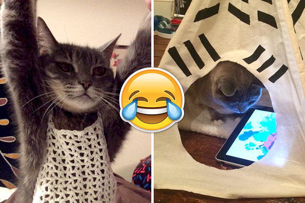 17 People Who Clearly Love Their Pets More Than Humans