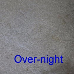 Same reviewer's carpet after the pad sat overnight, showing that the stain is no longer visible