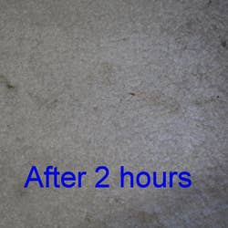 Same reviewer's carpet after two hours, showing that the stains have significantly lightened