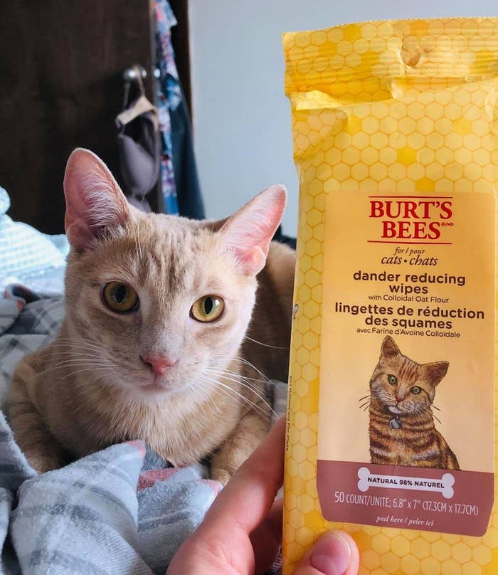 reviewer photo showing their cat next to a pack of the wipes