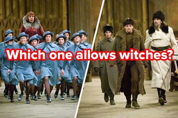 True "Harry Potter" Fans Get On This Book-Only Quiz