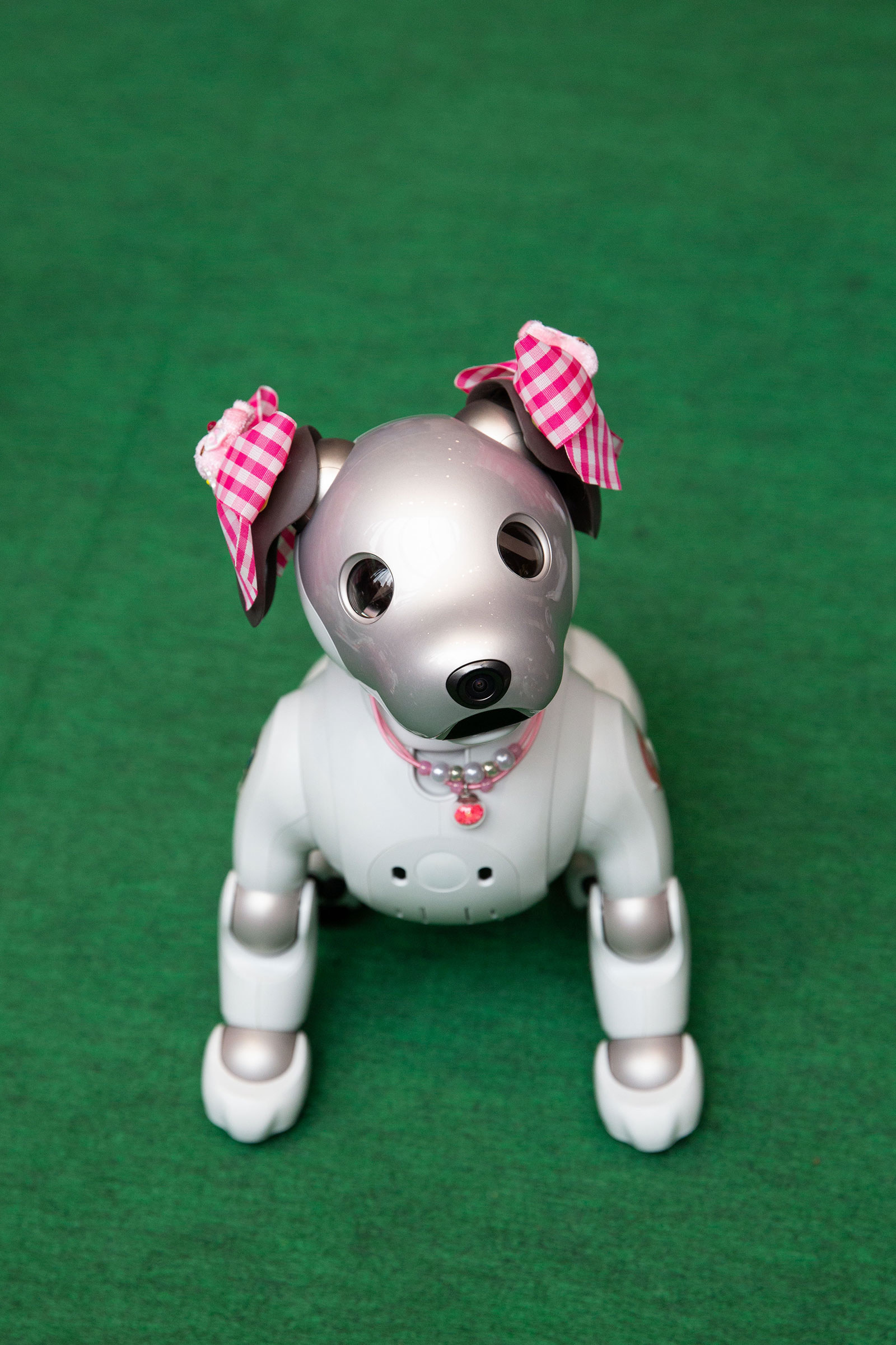 small robot dog toy