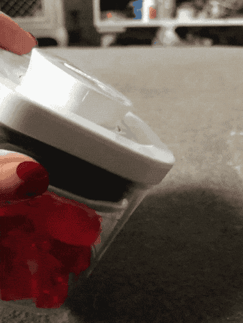 GIF of a BuzzFeed writer pressing the button on the top of the container to release the lid 