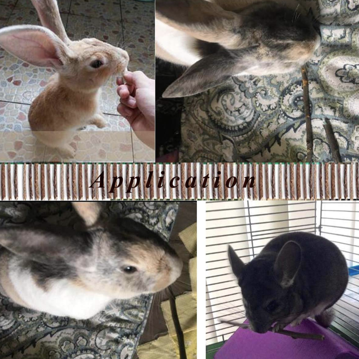15 Products To Spoil Your Pet Rotten This Year Because They Deserve It