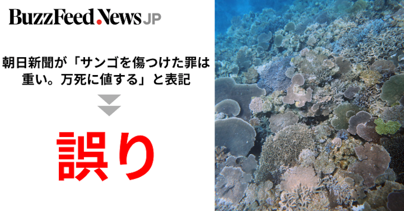 朝日新聞が サンゴを傷つけた罪は重い 万死に値する と表記は誤り ソースは5ちゃんか