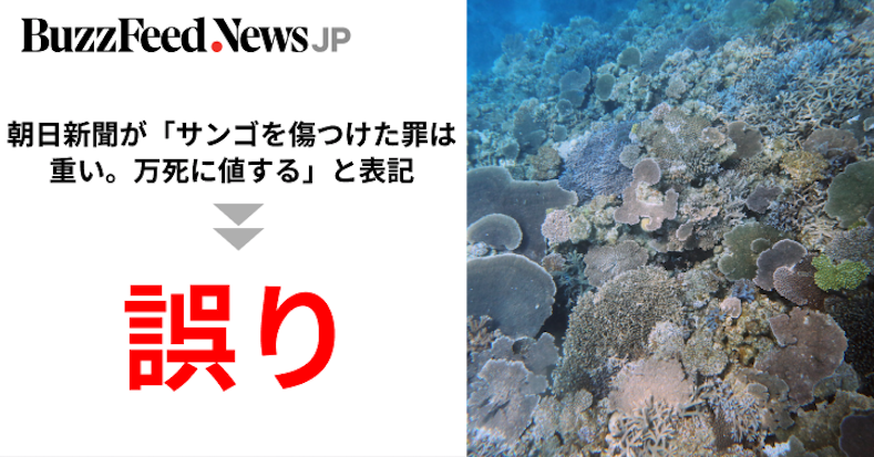 朝日新聞が サンゴを傷つけた罪は重い 万死に値する と表記は誤り ソースは5ちゃんか 朝日新聞が サンゴを傷つけた罪は重い 万死に値する と表記は誤り ソースは5ちゃんか