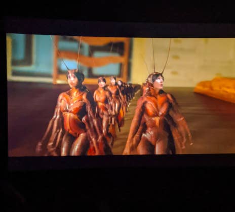 Everyone Says This Scene In Cats Where Rebel Wilson Eats Cockroaches With Human Faces Is Truly Traumatizing